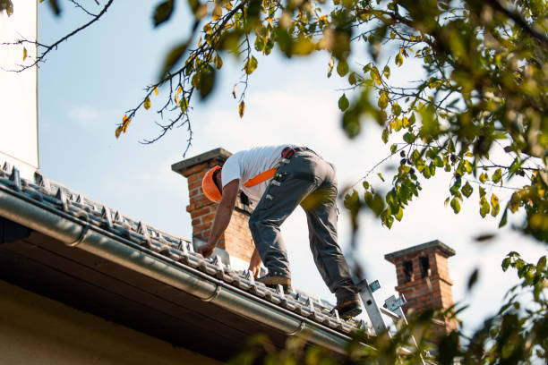 Best Roof Moss and Algae Removal  in Ttapoisett Center, MA